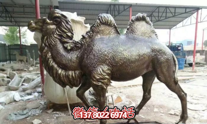 公园摆放的的黑色的不锈钢仿真骆驼雕塑 公园摆放的的黑色的不锈钢仿真骆驼雕塑